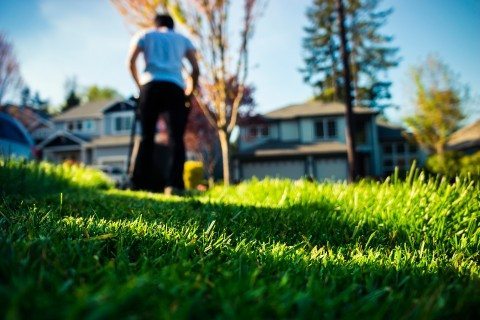 Mowing the lawn